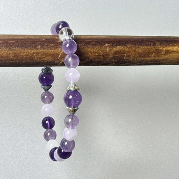 IMG_0746 Violet Serenity